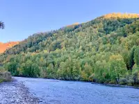 Участки в Катон-Карагае, фотография 7