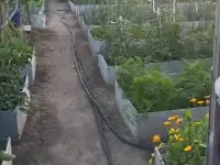 Продается дача, фотография 7