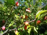 Продается Дом-Мечта, Интернациональная, 30, фотография 7