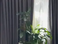 Зала жаа комплект штор сатылады. статыш сыйлыа, фотография 5