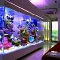 Аквариумы на заказ, фотография 2