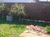 Продам дачу в Алматинской области севернее поселка Кендала. ПК Восход., фотография 12