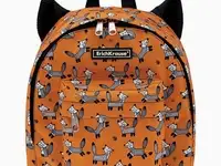 Рюкзак erichkrause®