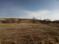 Продам, Дачное сообщество Каратал, фотография 2