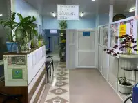 ВОП . Хирургия, фотография 3