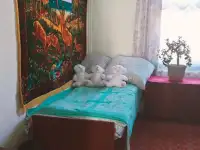 Продается дом, 74,1 кв.метра, тупик Некрасова 7, фотография 12