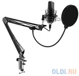 Ritmix rdm-169 black {увствительность: - 42 ± 2 дб?,  ?1000