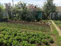 Садовый участок в ПСТ Локомотив в р-н рынка  Золотая чаша, фотография 4