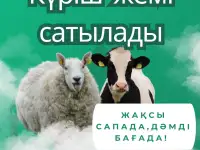 Продается рисовый корм.Крш жем сатылады!, фотография 3