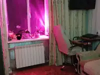 полуторка, Геологическая 10, фотография 7