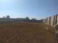 Крестьянское хозяйство, Карагандинская область, Осакаровский район, сАманконыр (с Дальнее), фотография 8