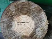 Пропитанные антисептиком опоры столбы ЛЭП, фотография 5