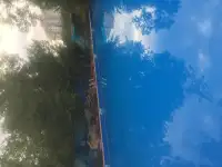 Сдам в аренду, фотография 3