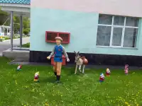 Продажа МАФ, фонтаны, вазоны, клумбы, скамейки, скульптуры садовые, скульптуры животных, фигурки, памятники, бюсты, наци, фотография 10