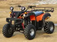 Квадроцикл на 200 кузове, фотография 2