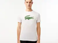 Мужская футболка lacoste  с принтом
