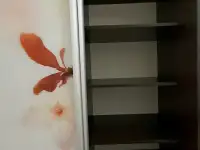 Шкаф купе из темного дерева с стеклянным фасадом в виде вишневой сакуры бу, фотография 5