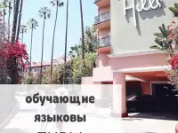 языковые туры, стажировка, практика за рубежом