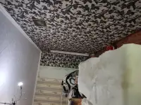 Малярные работы.недорого, фотография 2