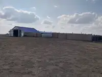 Продам готовое КХ, фотография 2