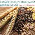 Экспорт с Казахстана зерновых, масличных и бобовых, тел.