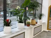 Пластиковые откосы, подоконники, отливы с установкой в Алматы, фотография 4