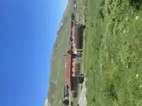 Участок 58 соток у озера колсай, Колсай, фотография 5