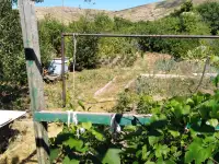 Продам дачу на удачу, с.о. 