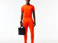 Мужская футболка lacoste regular fit