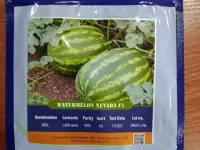 Продаем семена арбуза, фотография 2