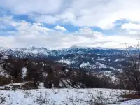 Продам участок Медеуский район, фотография 6