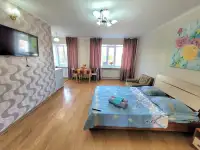 Уютная 1 комн.квартира на Назарбаева 57, фотография 3