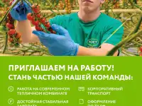 Работники в теплицы вахтовым методом (муж/жен), фотография 2