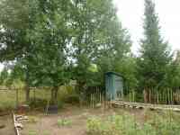 Продам дачу, общество Ермак,43 км,дом 43., фотография 6