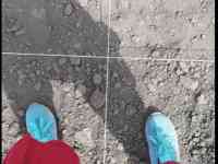 Разбивка сада, ягодника.