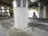 Сахар белый свекловичный мешки по 50 кг., фотография 3