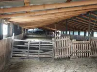 Продам готовое КХ, фотография 5