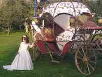 карета в Алматы, фотография 3