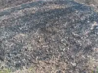 Продается земельный участок с фундаментом в городе Акколь, 8 соток, фотография 5