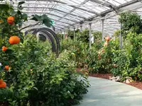 Сульфат Калия в наличии и под заказ, фотография 6