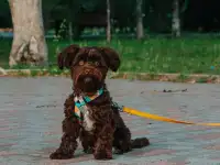 Фотограф Петропавловск, фотография 6