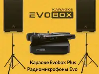 Комплект до 120 кв караоке Evolution акустика, микшер для кафе и дома, фотография 2