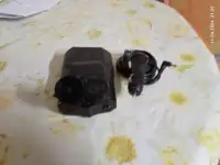 Радар-детектор Neoline x-cop 6000c, фотография 2