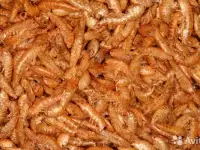 корм для аквариумных рыбок, фотография 3