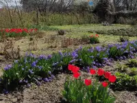 Дача 15 соток, Алматинская область, Талгарский район, с.о. Кендалинский, с. Кендала, с/т Медик-, фотография 3