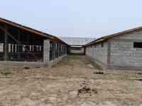 Фазенда (ферма), Капчагай-Курты 25 км, фотография 7