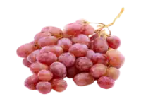 Виноград Тайфи осенний