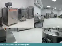 Производство турецкого мороженого по цене активов, фотография 2