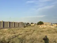 участок 15 соттык, Орангай, фотография 4