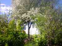 продажа дачи, район гэс, фотография 3